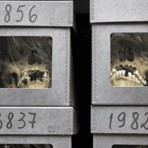 الجزائر.. ماكرون يعلن عن إمكانية تعويض ضحايا التجارب النووية