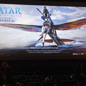 بلغت إيرادات الفيلم على المستوى العالمي 1,33 مليار دولار