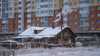 What hides in Siberia's ice may be more dangerous than the plague