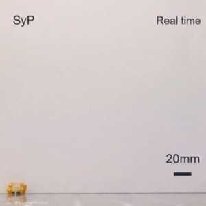 مصري يقود تطوير روبوت وثب خارق في حجم "الخنفساء"