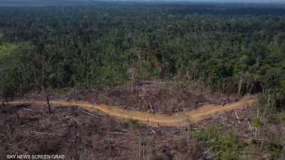 دراسة: ثلث غابات الأمازون مدمر بفعل أنشطة البشر والجفاف