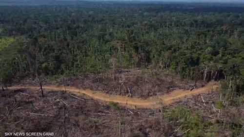 دراسة: ثلث غابات الأمازون مدمر بفعل أنشطة البشر والجفاف