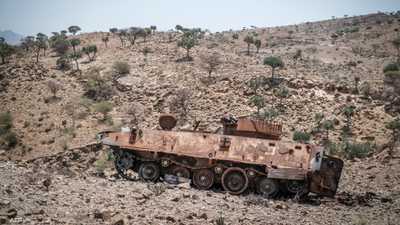أميركا: قوات إريتريا لا تزال في الأراضي الإثيوبية