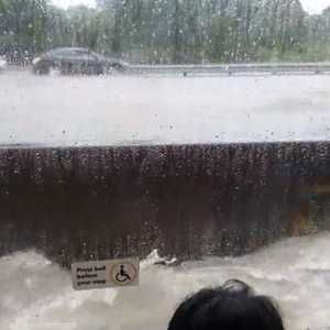 سيول نيوزيلندا تغمر حافلة ركاب