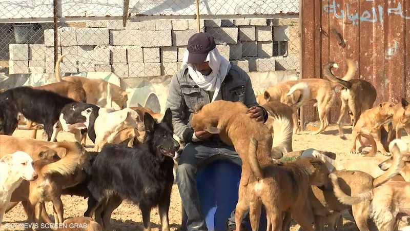 "سلالة".. جمعية رعاية وتأهيل الكلاب الضالة في غزة