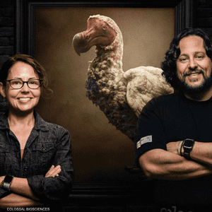 الطائر انقرض منذ قرون