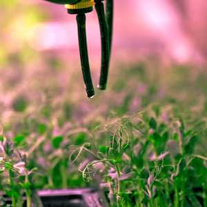 كيف تزيد الزراعة العمودية من كفاءة المحصول الزراعي