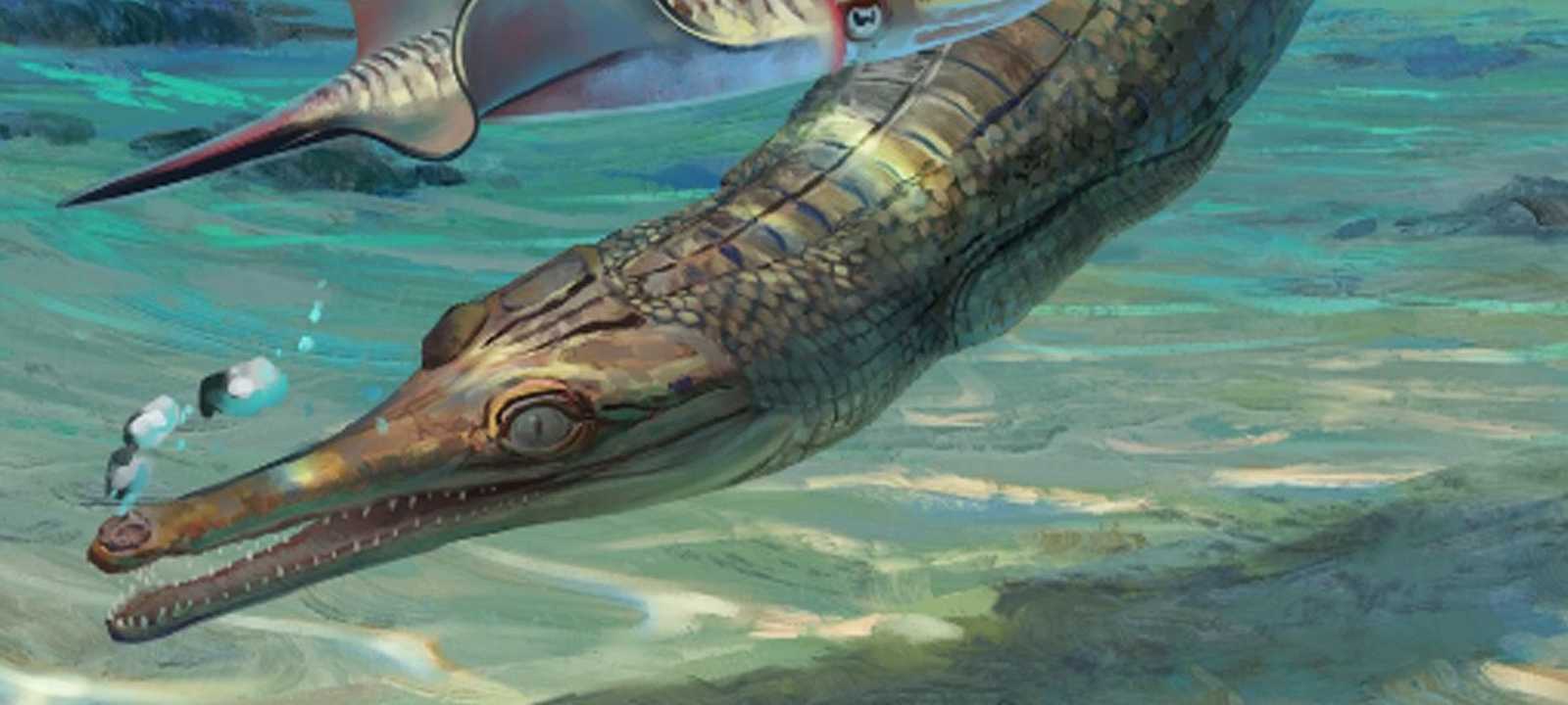 ينتمي الحيوان إلى فصيلة "التلاتوسوتشيان"