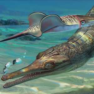 ينتمي الحيوان إلى فصيلة "التلاتوسوتشيان"