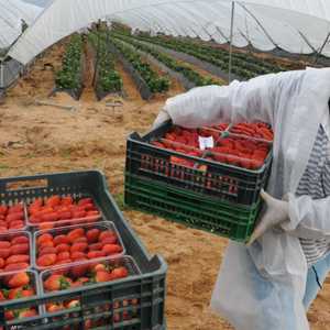 قمة مغربية إسبانية تدشن مرحلة جديدة من العلاقات