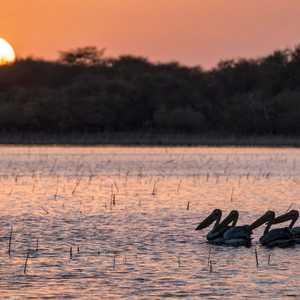 محمية الدندر من أبرز محميات السودان