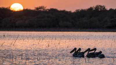 محميات السودان الطبيعية.. كنوز تواجه مخاطر مناخية وبشرية