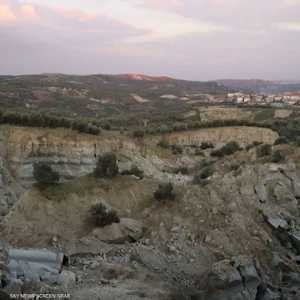 جراء الزلزال الكبير.. حقل زيتون يدفع الثمن