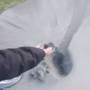 الفيديو صوّر في إحدى الأراضي الواقعة بقرية تلول