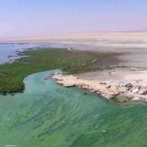 من محافظة الوسطى في سلطنة عُمان.