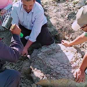 الاكتشاف تم بمنطقة جناح جنوب شرق مدينة الخارجة