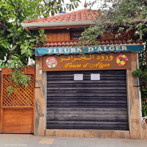 متجر "ورود الجزائر" أصبح معلما بارزا في العاصمة الجزائر