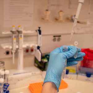 الصين ترفض الاتهامات الأميركية بشأن مصدر فيروس كورونا