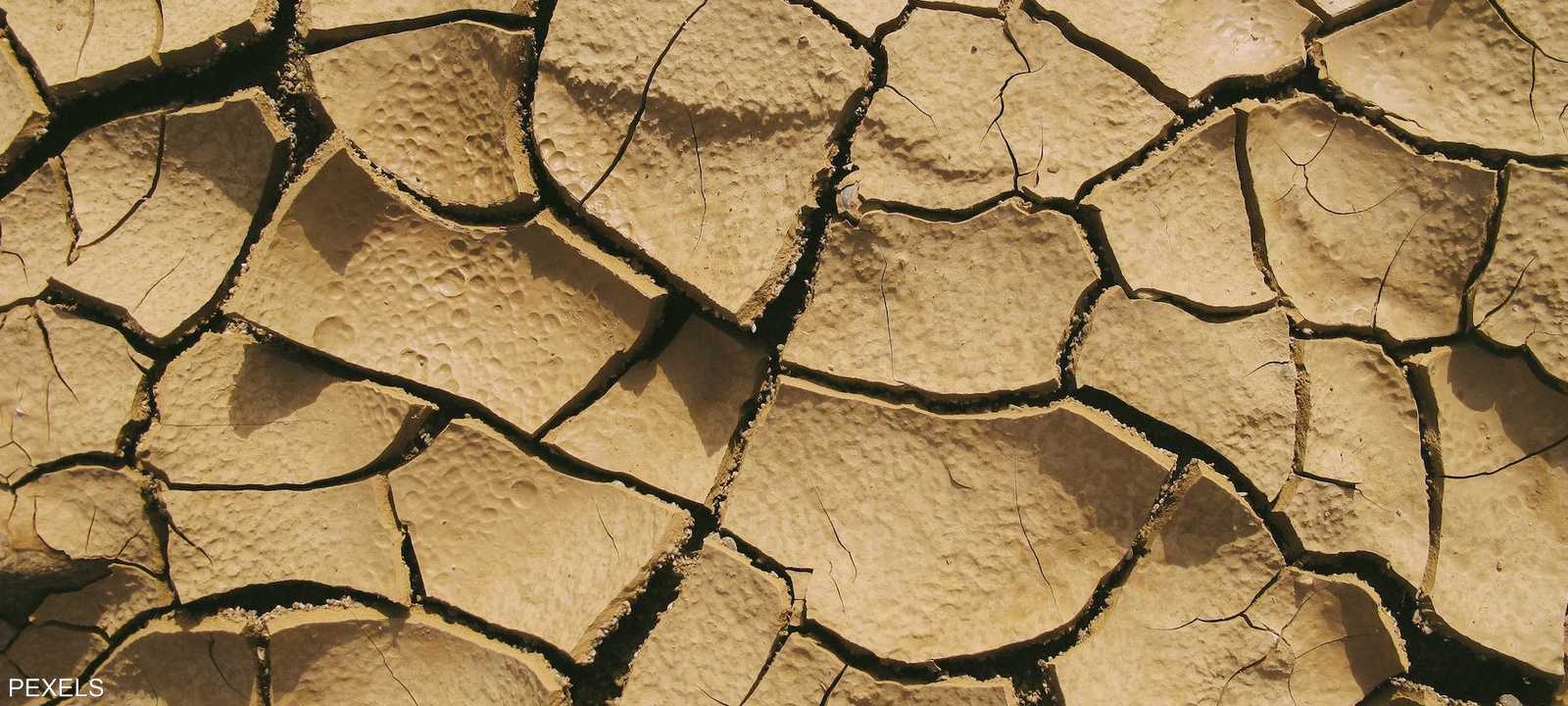 الحلول المُمكنة لإنقاذ القرن الإفريقي