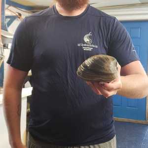 يبلغ وزن البطلينوس 214 كغ تقريبا