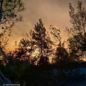 حريق يلتهم غابات الصنوبر شمالي لبنان