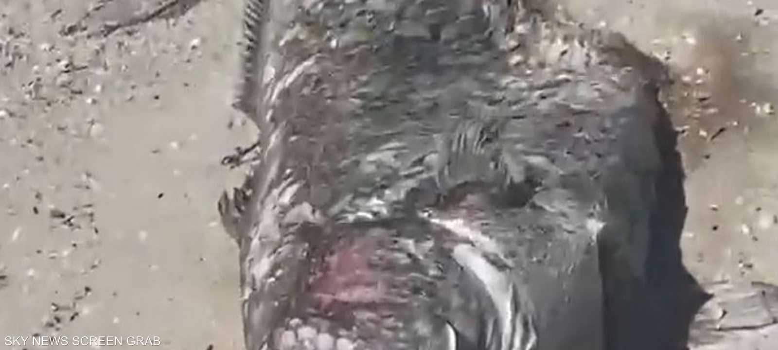 تم الإبلاغ عن حالات مشابهة بمقاطعات أخرى