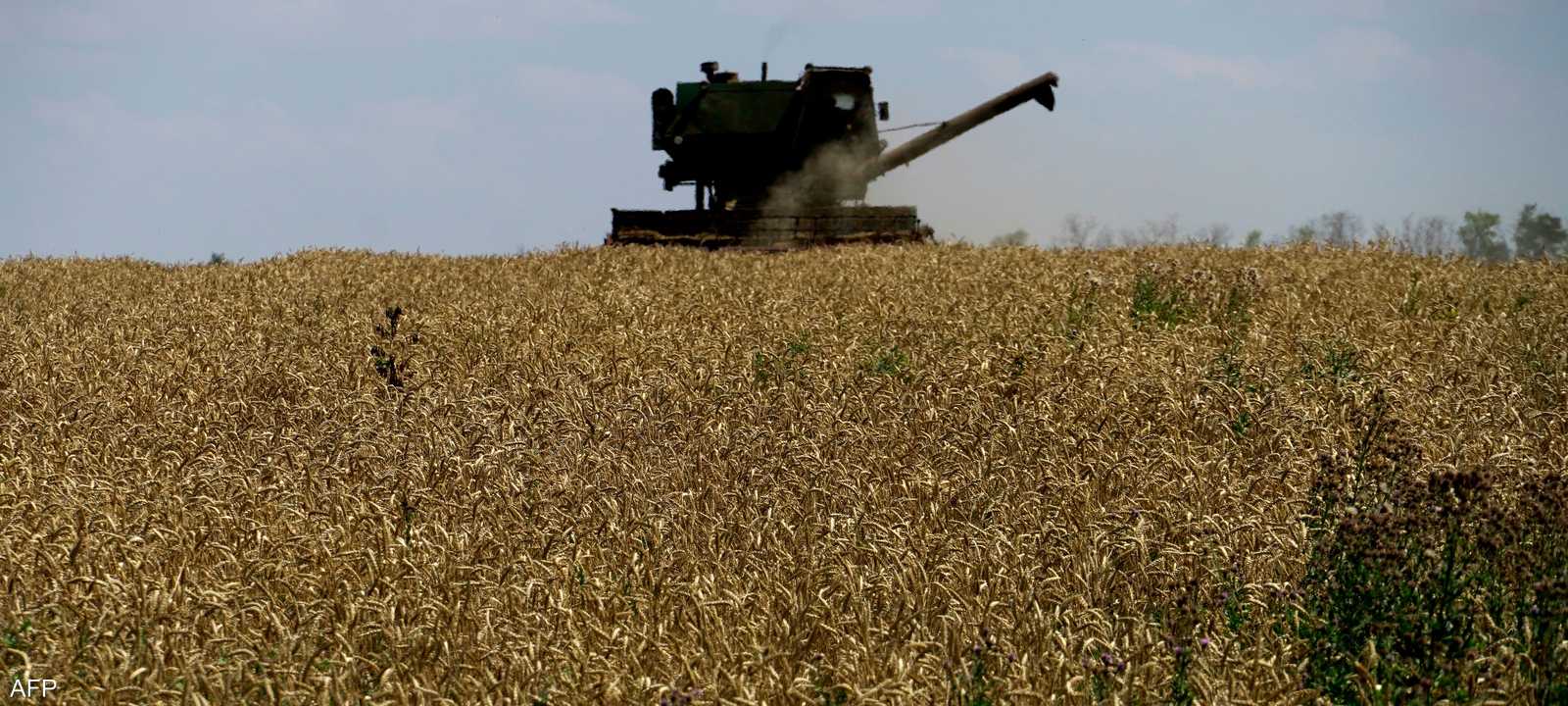 مخاوف من أزمة غذائية عالمية بسبب حرب أوكرانيا
