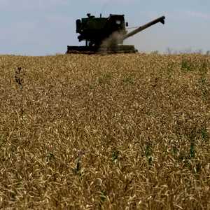مخاوف من أزمة غذائية عالمية بسبب حرب أوكرانيا