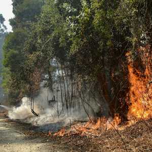 جانب من حرائق تشيلي.. أرشيفية