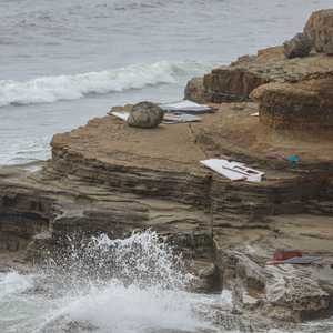 الكارثة وقعت قبالة سواحل كاليفورنيا