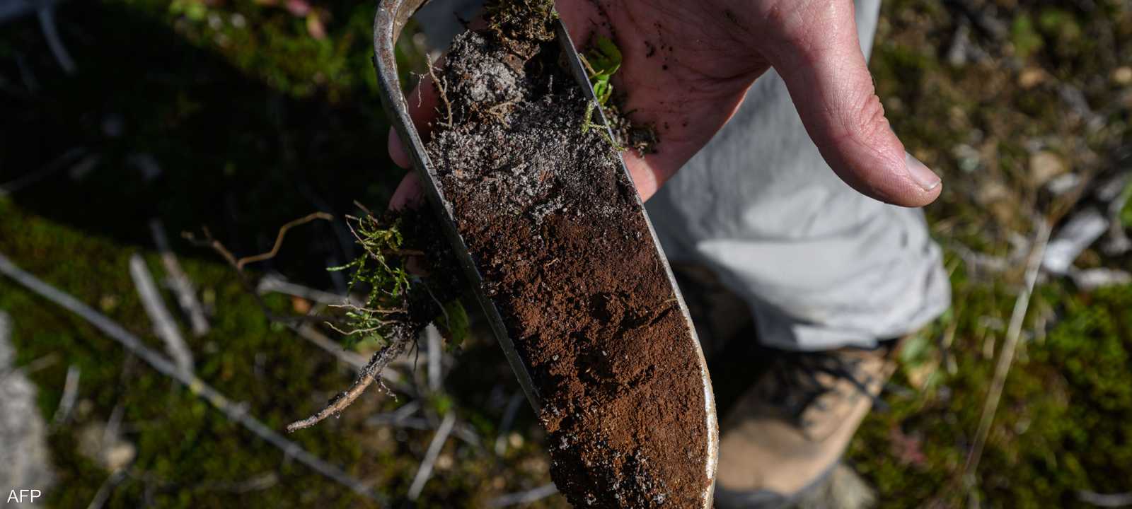 بكتيريا في التربة تفرز إنزيما يحول الهواء إلى طاقة