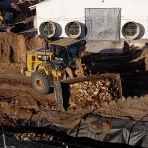 علماء يحذرون من تفشي الفيروس المسبب لإنفلونزا الطيور