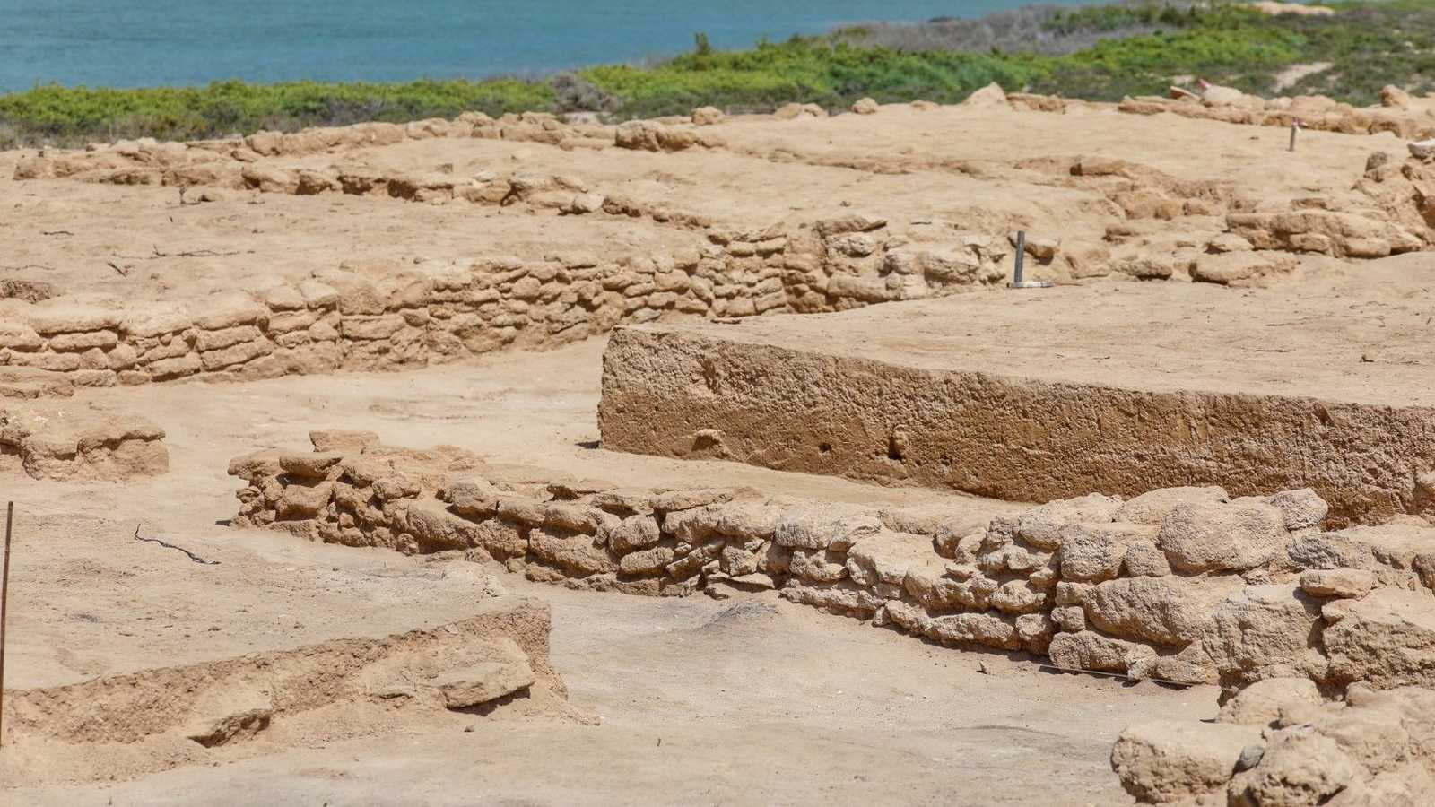 جزيرة السينية
