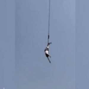 فيديو القفزة الخطيرة يحبس الأنفاس