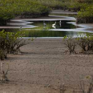 تغير المناخ أثر بشكل كبير على مستويات المياه في مناطق مختلفة