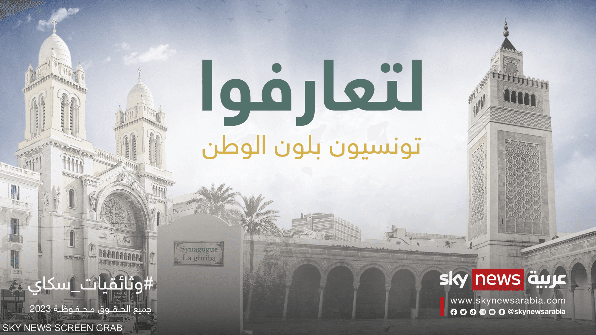تونسيون بلون الوطن