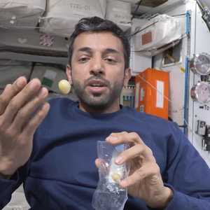 النيادي يختبر قانون نيوتن في الفضاء