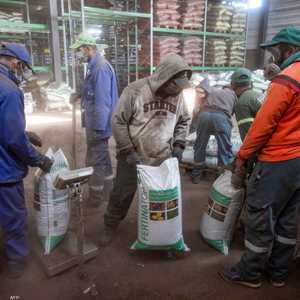 عمل دؤوب في معمل بمكناس