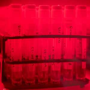 واشنطن وكييف نفيتا وجود مختبرات تهدف لإنتاج أسلحة بيولوجية