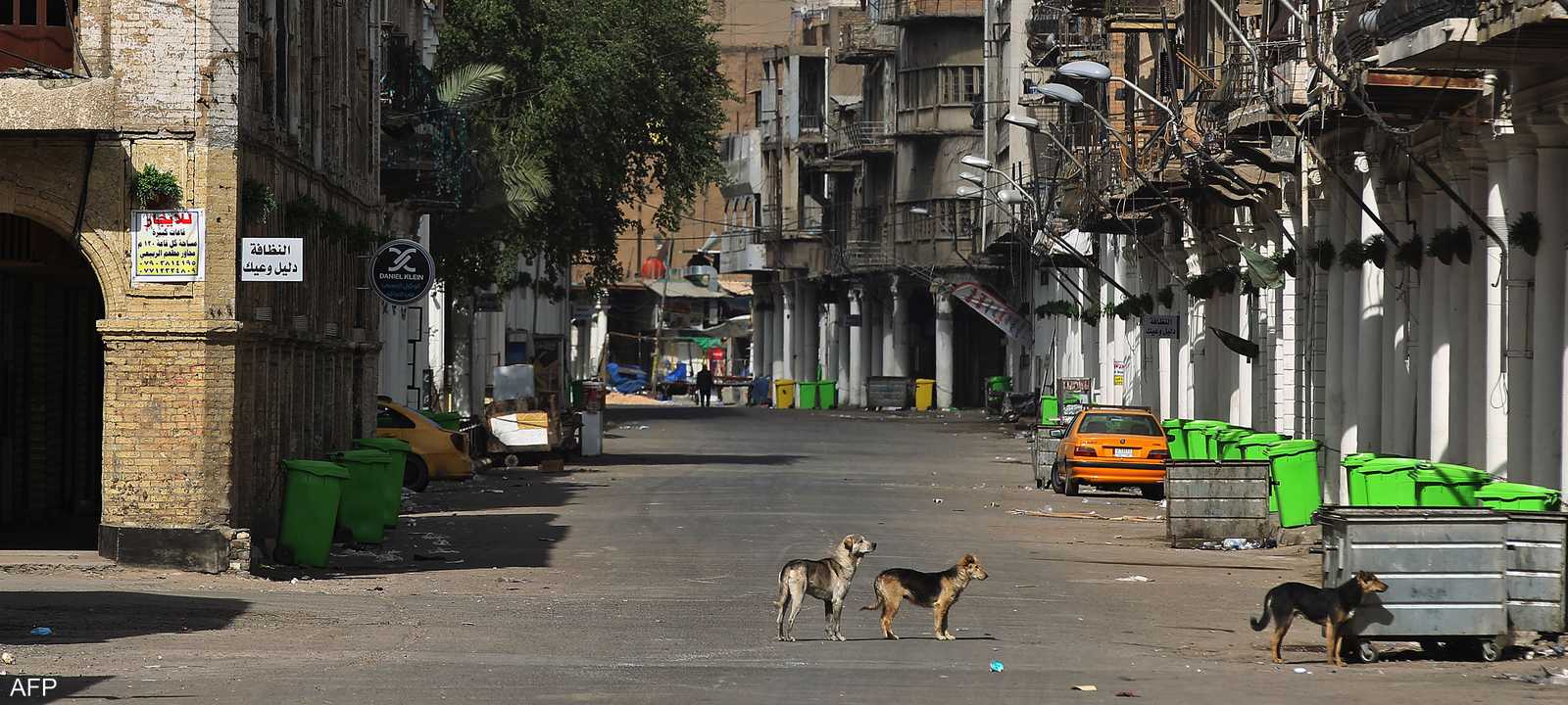 العراق يشهد زيادة في حوادث هجمات الكلاب الشاردة