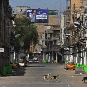 العراق يشهد زيادة في حوادث هجمات الكلاب الشاردة