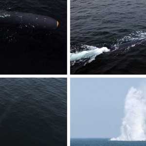 كوريا الشمالية تختبر غواصة مسيرة أخرى ذات قدرات نووية