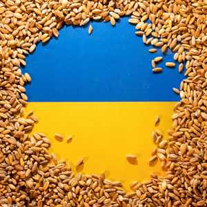 سلوفاكيا تحظر استيراد الحبوب الأوكرانية