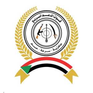 الدعم السريع يصدر بيانا بشأن الرعايا المصريين