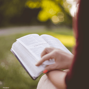 القراءة تقوم بتنشيط شبكتين في الدماغ