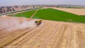 العراق.. الحكومة تسعى لزيادة انتاج القمح المحلي