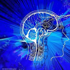 حين يتعلم الكبار لغات أخرى تتغير الدورات الكهربائية بالدماغ