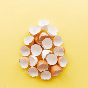 تعتبر التقنية واعدة في مجال ترقيع العظام