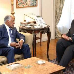 شكري التقى المبعوث السوداني في القاهرة