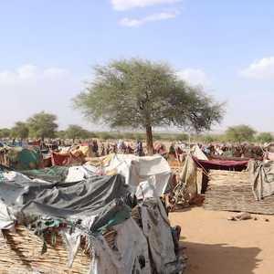سودانيون يعيشون تحت خيم من أغصان الشجر والقماش في تشاد